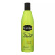 Shikai Natural Tea Tree Conditioner - 12 Fl Oz