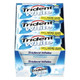Trident White Sugar Free Peppermint Gum - 16 Ea