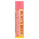 Burt's Bees Moisturizing Lip Balm - Pink Grapefruit