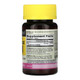 Mason Natural Slow Release Iron Tablets High-Potency Supplement - 60 Tablets