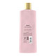 Caress Body Wash 18 Ounce Daily Silk (Silkening) (532Ml)