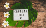 What are Cruelty Free Products?