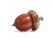 Caramel & Chestnut - with Ridges | HANDBLOWN GLASS ACORN