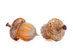 Caramel & Iridescence - with Ridges | HANDBLOWN GLASS ACORN