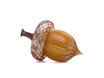 Caramel & Ochre - with Ridges | HANDBLOWN GLASS ACORN