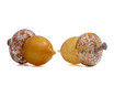 Caramel & Ochre | HANDBLOWN GLASS ACORN