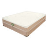 Perfection 9 Inch Frame Free Sponge Bed