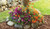 SUNNY TREE RING FLOWER MAT