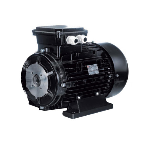 Nicolini Electric Motor - 10 hp Three-Phase 600 V, 24 mm Hollow Shaft