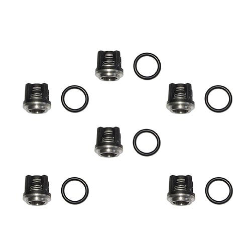 Check Valves (Kit 1864) for Annovi Reverberi Series XM/XT/HPE