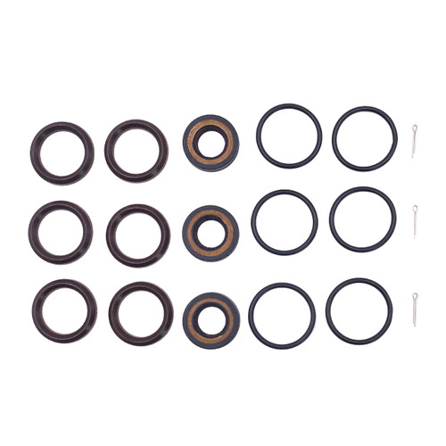 Seal Kit for Cat Pumps Series 4SF, P/N 34054