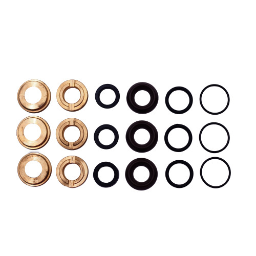 Kit 61: Complete Seal Packings for Bertolini Pumps, P/N 049819973