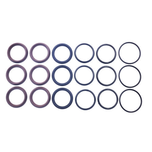 Kit 55: Seal Packings for Bertolini Pumps, P/N 739841973
