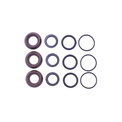 Kit 60: Seal Packings for Bertolini Pumps, P/N 049818973