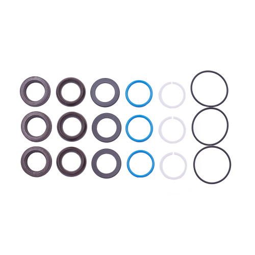 Kit 89: Seal Packings for Bertolini Pumps, P/N 069839973