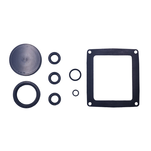 Kit 169: Complete Oil Seals for Bertolini Pumps, P/N 049963973