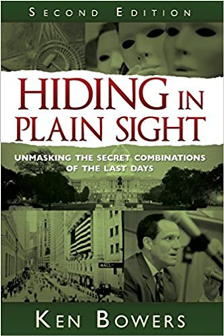 Hiding in Plain Sight (Paperback)