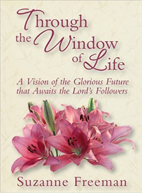 Through the Window of Life (Paperback)