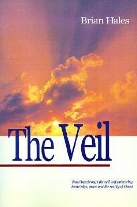 The Veil (Paperback)