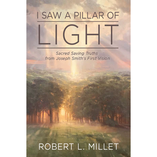 I Saw a Pillar of Light (Hardcover)