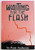 Waiting for the Flash (Paperback)