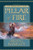 The Promised Land, Vol. 1: Pillar of Fire (Hardcover)