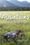 Mountains Between Us (Paperback) *