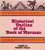 Historical Outline of the Book of Mormon (Paperback) Historical Outline of the Book of Mormon (Paperback)
