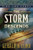 Fire and Steel Vol. 2: The Storm Descends (Hardcover)