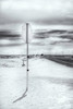 Crossing 16 by Arturo Castillo | | Open Road Scenic Photo