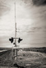 Crossing 1 by Arturo Castillo Scenic Railroad Photo