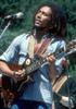 Bob Marley #2 by Jeffrey Mayer | Classic Rock Photo | Limited Edition Print