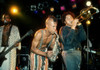 Fishbone #1 by Jeffrey Mayer