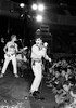 The Adicts Photo by Alison Braun