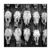 Western Skulls by Drew Carolan