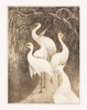 Six Cranes on the Waterfront by by Theo van Hoytema