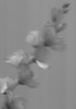 Silk #2 Flowers by Amie Mack