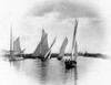 A Sailing Match at Horning by Peter Henry Emerson
