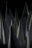 Chiaroscuro Cacti 1641 Photo by Anthony De Santis