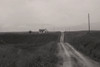 Muddy Road, Burley, Idaho, 1984 Photo by Drew Carolan