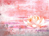 Pink Lotus by Marcel 'SEL' Marco