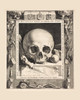 Death’s Head | Jan Saenredam