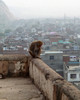 India Rooftop by Danielle Massell