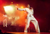 Queen #7 | Freddie Mercury | Classic Rock Photo | Limited Edition Print | Richard E. Aaron