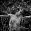 Nude woman trapped in a fishing net on the beach in Malibu
