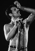 Queen #2 | Freddie Mercury Rock and Roll Photo by Jeffrey Mayer