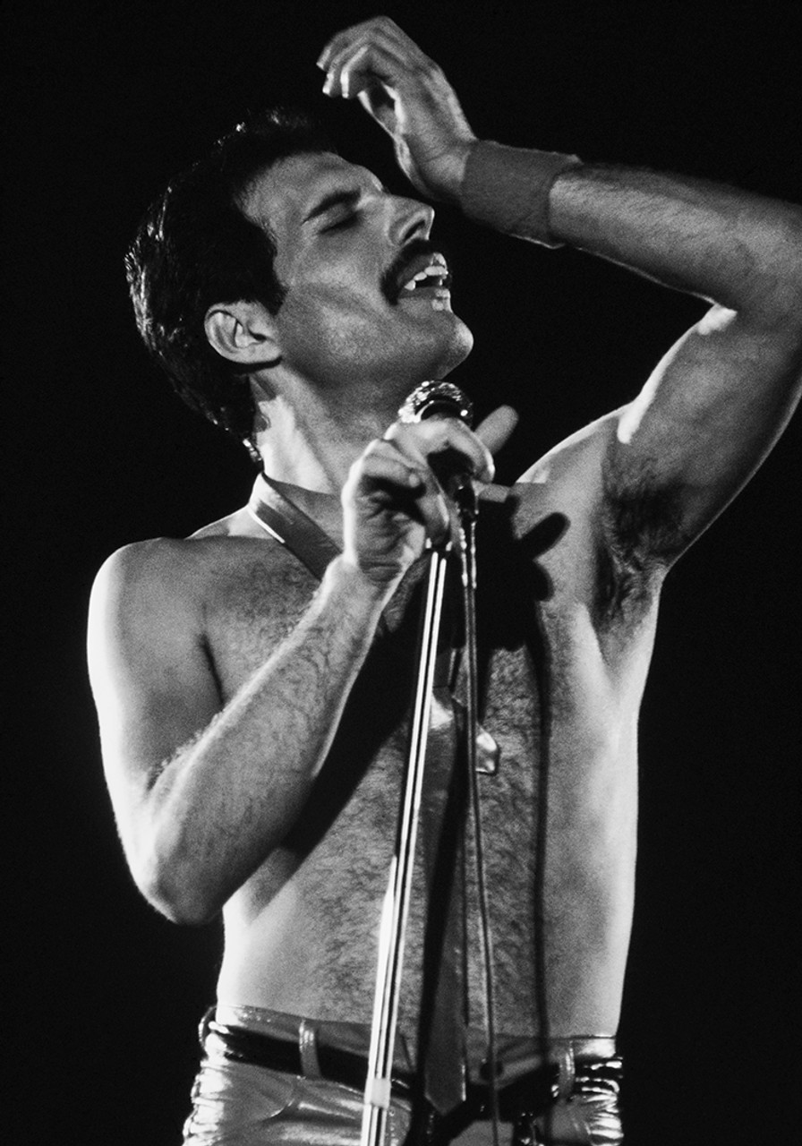 Fred mercury 97x130cm