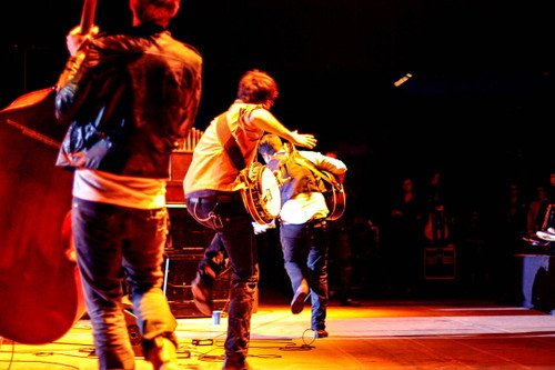 Mumford & Sons #1 byJulie Gardner | Rock Concert Photo