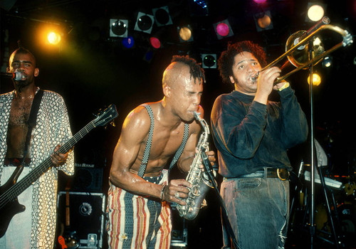 Fishbone #1 by Jeffrey Mayer