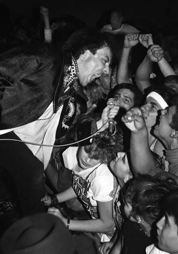 Dead Kennedys #1 Photo by Alison Braun